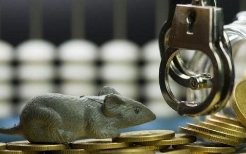 鹅毛期货（期货薅羊毛）